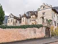Vines - Castles - Residences