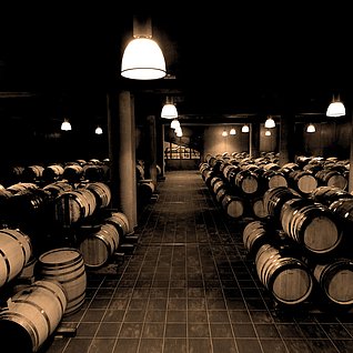 Top: The treasures of Colterenzio during harvest time