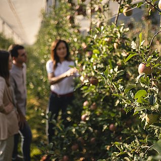 Apple tour at the Leitnhof