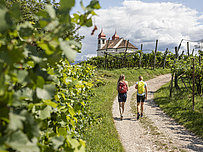 Geführte Wanderungen