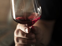 WineTalk in gemütlicher Runde