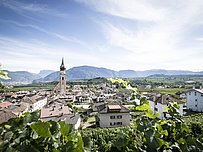Von der Traube zum Wein